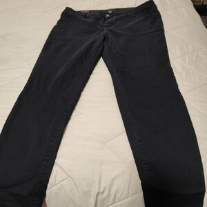 Women's A N.A.  Dark Wash Jeggings 18W